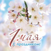Цветущая ветка 1 мая
